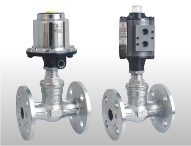 double acting globe control valve